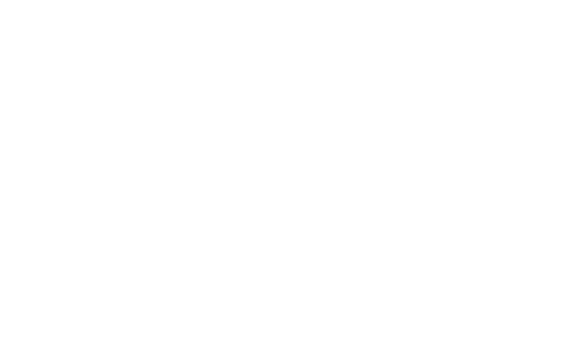 Bell'Amico Logo